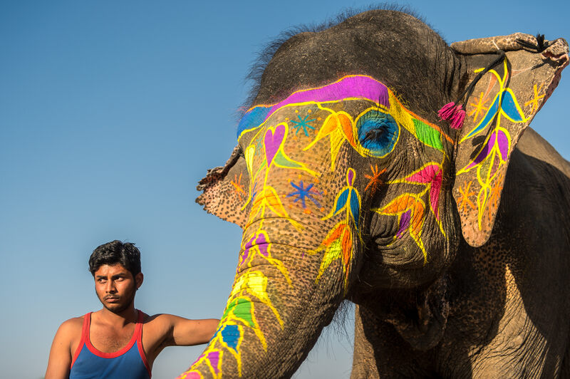 Mahout with his painted elephant